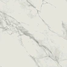 Керамогранит Calacatta Marble полированный белый (O-CLM-GGM054)