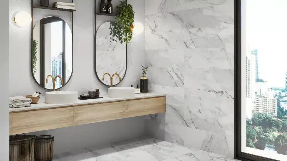 Macchia Vecchia Macchia Vecchia