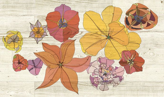 Паркет фабрики Xilo1934