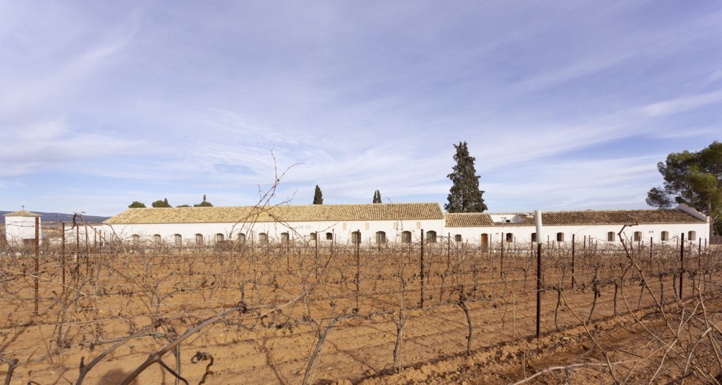 керамогранит Roadstone оттенка льна керамогранит Roadstone оттенка льна