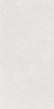 фото Керамогранит Stx Fossil Silver 3pc 59.8x119.8  серый цвет, лофт, современный стиль от Simpolo (Индия)