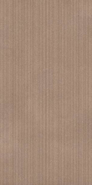 фото Керамогранит NAMIB RIBBED EARTH R (RK87) 60x120  коричневый цвет, кантри, кэжуал, лофт, современный стиль от Refin (Италия)