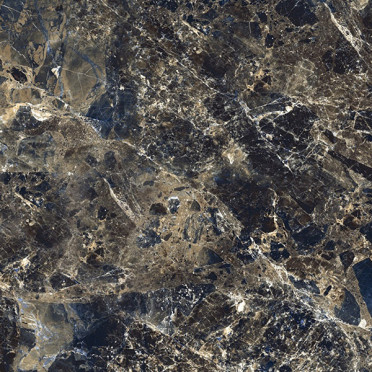 фото Керамогранит Roman Empro Gold high glossy (GR107) 60x60  коричневый цвет, современный стиль от Primavera (Индия)