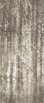 Керамогранит Ylico Wood Fog  (fQWO)