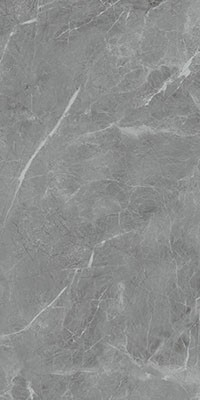 Керамогранит Belvedere Eva Gris Polished (N20468)