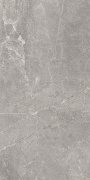 фото Керамогранит Concept Gray 60x120  серый цвет, классический, современный стиль от Baldocer (Испания)