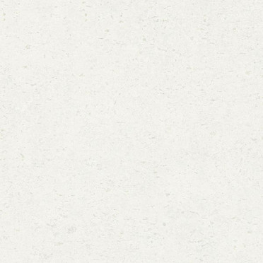 фото Керамогранит Gres P. Goldstone Snow 60x60  белый цвет, современный стиль от La Platera (Испания)