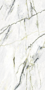 фото Керамогранит Splendida Calacatta Green (Book) Polished (N40012) 60x120  белый цвет, классический, современный, черно-белый стиль от Neodom (Индия)