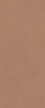фото Настенная плитка Boost Expression Sienna (AYR9) 50x120  коричневый цвет, модерн, романтизм, современный стиль от Atlas Concorde (Италия)
