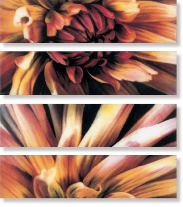 фото Бордюр Cen.Dahlia A-B-C-D 10x40 от Edilgres Sirio (Италия)