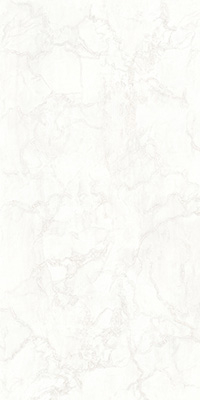 Керамогранит MYSTERY WHITE LUX/RET (СП1310) 8мм