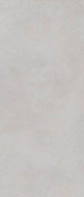 Керамогранит ALTER EGO ASH NAT R (PF60016997)