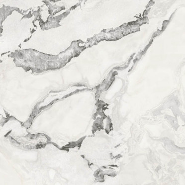 фото Керамогранит FORTE DEI MARMI QUARK OYSTER WHITE Rett (600010002395) 120x120  белый цвет, классический, лофт, современный стиль от Atlas Concorde (Россия)