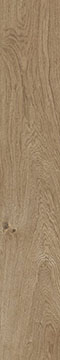 Керамогранит Plein Air Nut Matt R9 RT (fTJM)