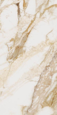 фото Керамогранит Loyal 60x120  бежевый цвет, классический, современный стиль от Ocean Ceramic (Индия)
