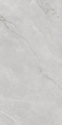 Керамогранит ASTONIA Silver Glossy Silver Line