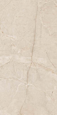 Керамогранит ARIANA CARAMEL SUGAR CARVING IT (ITL84050)