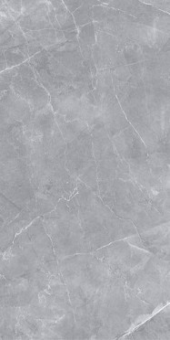 фото Керамогранит  SILK Gilio Matt 60x120  серый цвет, классический, лофт, современный, черно-белый стиль от Staro (Индия)