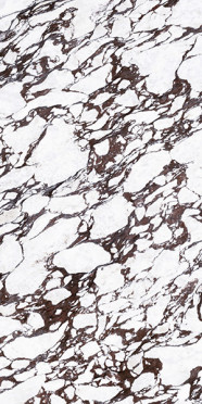 фото Керамогранит BOOKMATCH CALACATTA VIOLA A POLISHED 160x320x0.6  двухцветный цвет, классический, современный, черно-белый стиль от Ascale (Испания)