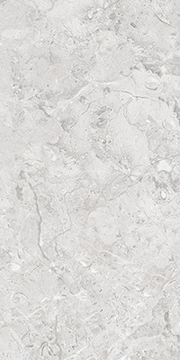 Керамогранит ELEGANCE Grey Glossy Silver Line