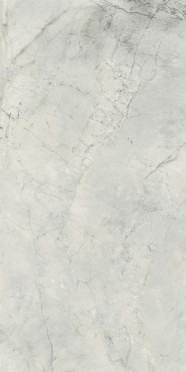 фото Керамогранит HBO10 BOUTIQUE SHINE HARD (GCBO10SJ) 60x120  серый цвет, классический, современный стиль от Del Conca (Италия)