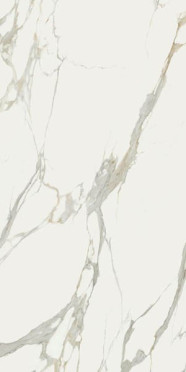 фото Керамогранит SENSI SIGNORIA CALACATTA MICHELANGELO ANT RET (PF60011125) 60x120  белый цвет, классический, современный, черно-белый стиль от ABK Ceramiche (Италия)