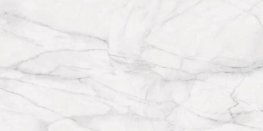 фото Керамогранит BIANCO D'ITALIA CALACATTA FULL LAPPATO 59x118.2  белый цвет, античный, классический стиль от Provenza (Италия)
