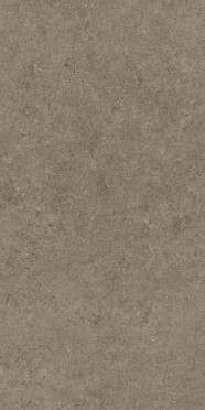 фото Керамогранит Boost Stone Taupe (A6Q6) 60x120  коричневый цвет, классический, лофт, современный, средиземноморский стиль от Atlas Concorde (Италия)