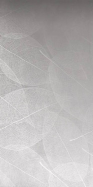 фото Керамогранит ELEGANZA Perla Arte Carving 60x120  серый цвет, ар деко, романтизм, современный стиль от Infiniti (Индия)