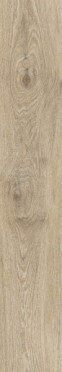 фото Керамогранит OSSIMORI AVORIO EXTRA MATT RT (R9TG) 20x120  бежевый цвет, кантри, ретро, рустика, современный, средиземноморский стиль от Ragno (Италия)