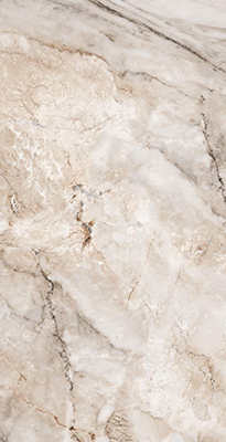Керамогранит PAONAZZATO NATURAL GLOSSY B (BZ84019)