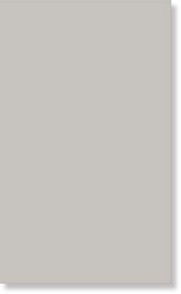 фото Плитка 970039 ESPRIT GRIGIO RETTIFICATO 31.5x52  серый цвет, от Viva Ceramica (Италия)
