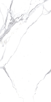Керамогранит Calacatta Splendid Silver белый Матовый