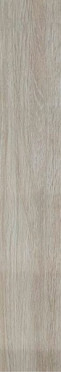 фото Керамогранит DESERT Wood Crema Matt 20x120  бежевый цвет, современный стиль от ITC (Индия)