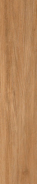 фото Керамогранит ALESSANDRIA CAMEL 19.5x120  оранжевый цвет, кантри, лофт, современный стиль от Prissmacer (Испания)