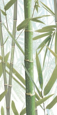фото Декор Bamboo 1 DW9BMB104 24.9x50 классический, морской, романтизм, современный стиль от AltaCera (Россия)