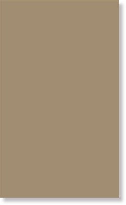 фото Плитка 970038 ESPRIT BEIGE RETTIFICATO 31.5x52  бежевый цвет, от Viva Ceramica (Италия)
