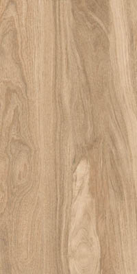Керамогранит TAIGA DARK MATT+CARVING IT (ITL84094)