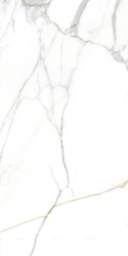 фото Керамогранит CRV-3140 carving 60x120  белый цвет, классический, модерн, современный, черно-белый стиль от Simpolo (Индия)