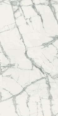 фото Керамогранит CHA.DEL.INV.WHITE CER (610015000496) 60x120  белый цвет, классический, лофт, современный, черно-белый стиль от Italon (Россия)