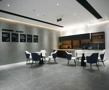 Плитка PIETRA от NT Ceramic (Китай) в интерьере, стиль: классический, современный