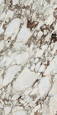 Керамогранит BIJOUX BRECHE CAPRAIA GLO 6MM R (765724)